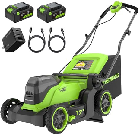 Greenworks 48V (24V x 2) Cordless Lawnmower for Large Lawns up to 440m2, 41cm Cutting Width, 40L Bag, Lawnmower with Two 4Ah Batteries and Twin Charger, 3 Year Guarantee MO48L422-01