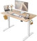 FEZIBO Schreibtisch Höhenverstellbar Elektrisch, 100 x 60 cm Steh-Sitz Tisch, Verstellbarer Stehpult mit Memory-Steuerung, Ergonomischer Computertisch Homeoffice