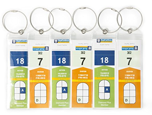 HOPEVILLE Gepäckanhänger für Kreuzfahrten, 6 Stück schmale robuste wasserfeste PVC Kofferanhänger mit Klipp-Verschluss und hochwertigem verschraubbaren Metallband