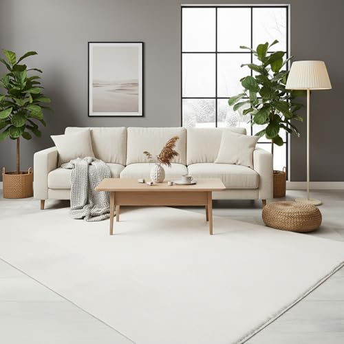 RUGURA Alfombra de Salón Dormitorio Habitación Comedor Pelo Corto y Suave 120x170cm Crema Unicolor Moderna Nordica Lavable Antideslizante
