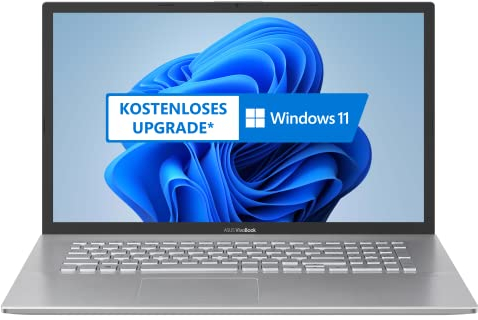 ASUS VivoBook S17 S712EA-AU079T Laptop 43,9cm (17,3 Zoll, FHD, 1920x1080, matt) Notebook (Intel Core i5-1135G7, 8GB RAM, 1TB SSD, shared Grafik, Win10H) Transparent Silver