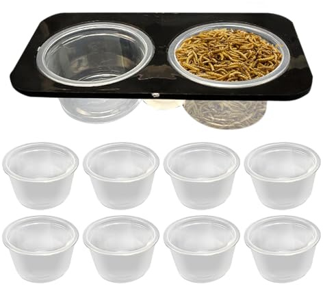 Ödla vattenskål - reptilfoder med avtagbara geckodelar, tillbehör till rymdbehållare tillbehör enkel rengöring, terrariumplast, strömförsörjning