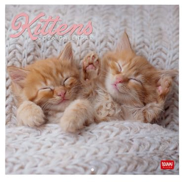 Legami Väggkalender 2026, Kittens, stor väggkalender, 12 månader och årsplanerare, 6 språk, anteckningsrum, stjärntecken, internationella helgdagar, 30 x 29 cm