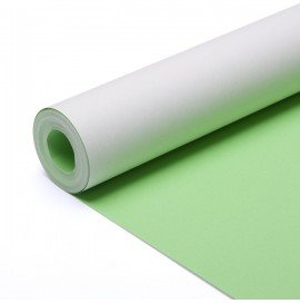 Poster Paper Rolls - 76cm x 10m - Non Toxic Display Paper - 28 Colours Choices (Pale Green - Poster Paper Roll)