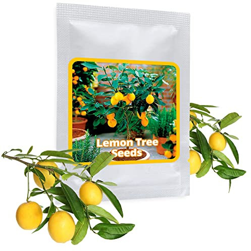 Dwarf Lemon Tree Seeds - 10 pcs/bag - cultivable as bonsai or tree