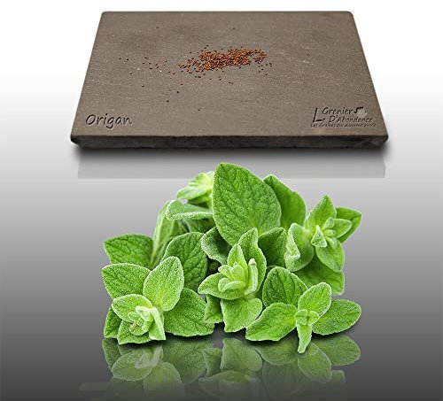 200 graines d'Aromatiques à semer - Le Grenier d'Abondance - ORIGAN - Origanum majorana