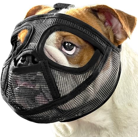 Mayerzon Short Snout Dog Muzzle for French Bulldog with Full Pant Design to Prevent Eating Biting, Soft Mesh Dog Muzzle for Shih Tzu Pug English Bulldog for Grooming Walking, Allow to Drink and Feed