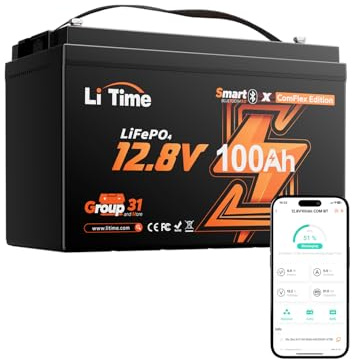 LiTime Batteria Litio 12V 100Ah LiFePO4 con Bluetooth supporta Victron, CAN/RS485, BMS 100A, 4000-15000 Cicli, Protezione Temperatura, Ideale per Camper, Barche, Sistemi Off-Grid