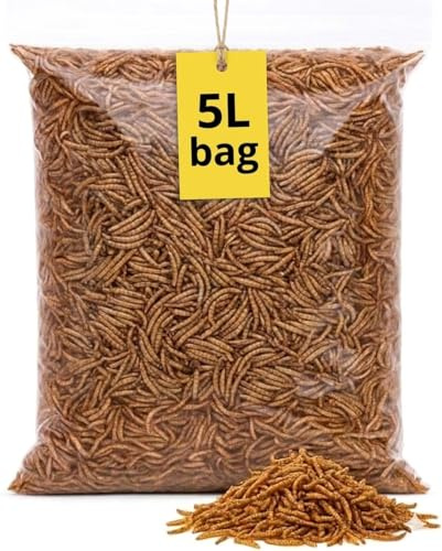Premium Dried Mealworms, 5L Bag