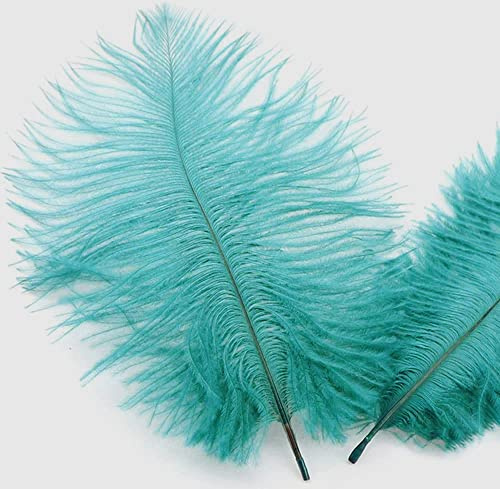 50 stycken 15–20 cm naturliga strutsfjädrar, bukettfjäder för pyssel, pysselfjädrar för gör-det-själv drömfångare tillbehör, heminredning, kostymer, bordsdekoration, bröllop, fest, hatt, kläder,