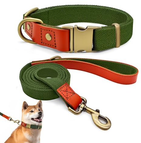 Set med halsband och koppel L 38–58 cm, läder med nylon (militärgrönt)