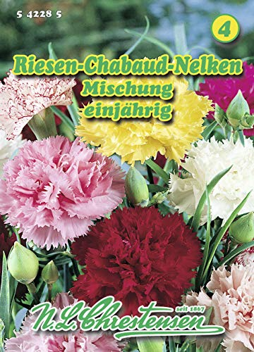 N.L. Chrestensen 542285 Riesen Chabaud Nelke Mischung (Nelkensamen)