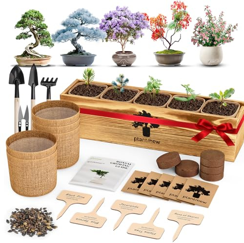 5 Pack Bonsai Tree Kit - Unique Gardening Gift Set for Plant Lovers | Complete Japanese Bonsai Starter Kit with Seeds, Tools & Planters | Ideal Christmas, Birthday Gifts for Women & Men