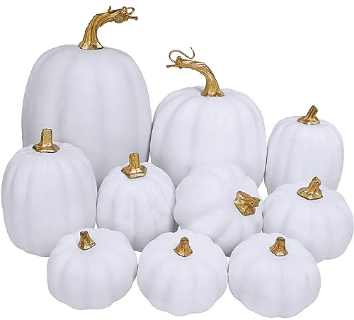 Winlyn 10 Pcs Assorted White Artificial Pumpkins Harvest White Pumpkins Decorative Pumpkins Foam Rustic Fall Pumpkins for Autumn Fall Wedding Thanksgiving Halloween Props Home Seasonal Mantel Décor