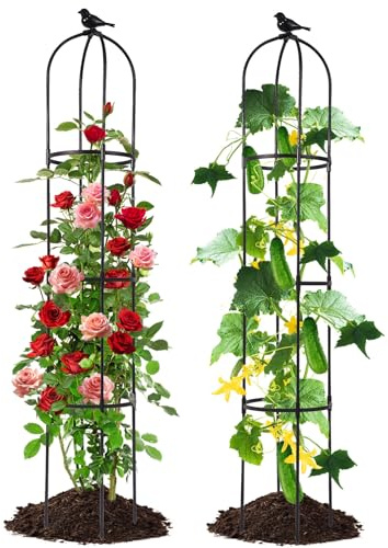 Lalahoni Garden Trellis for Climbing Plants Outdoor, 6 feet Tall Garden Obelisk Trellis Climbing Plant Support Potted Vine Flower Rose Clematis Vegetable Pea Bean Cucumber Trellis Raised Bed, 2 Pack