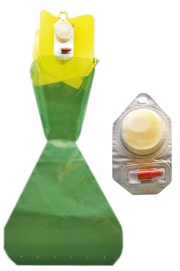 Trappola per Popillia Japonica scarabeo giapponese