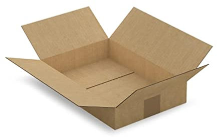 Raja Carton d'emballage 31 x 21.5 x 5.5 cm - Simple cannelure