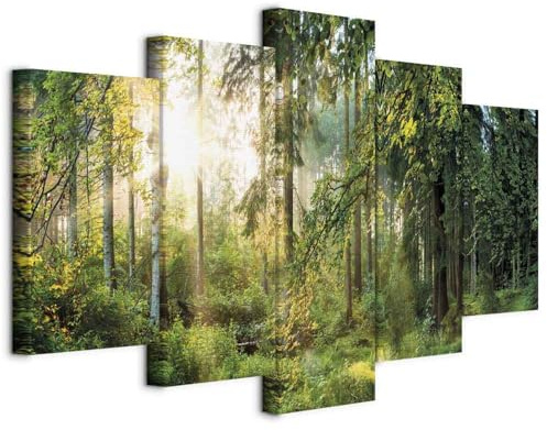 B&D XL - Quadro Fonoassorbente Foresta Verde 150x75 cm 5 Pezzi - Canvas - Quadri Acustici Componibili XL Grandi - Pannelli Fonoassorbenti Decorativi - Decorazione Soggiorno c-C-0033-b-n