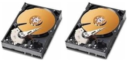 MicroStorage 40GB IDE 3.5 3.5 40GB IDE/ATA Hard Disk - Dischi rigidi (3.5, 40 GB, 7200 rpm) (Confezione da 2)