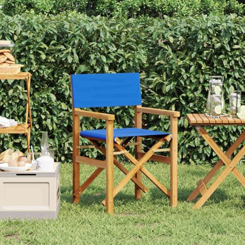 Sedia da regista pieghevole in legno di teak massiccio, blu, con braccioli e schienale, ideale per giardino, balcone e campeggio.