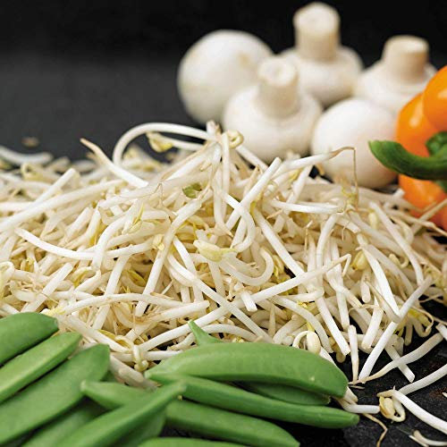 Suttons Beansprouts Mung Bean Seeds, Vegetable Seed, approx. 85g per pack, Grow your own, Ideal for Indoors and Greenhouses