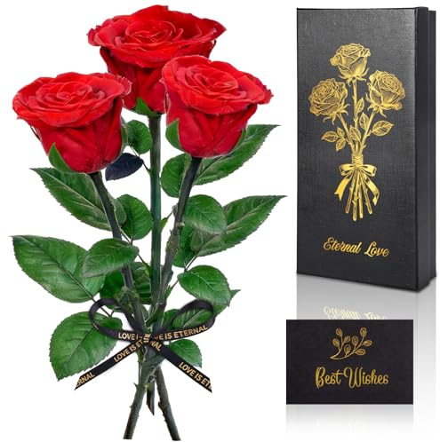 SERIONR Rosa Stabilizzata, Rosa Eterna con Steli Regalo per Donna, 3 Veri Fiori Stabilizzati, Rosa Rossa per Madre, Moglie, Amica, Donne, Compleanno, San Valentino, Festa Della Mamma, Regalo Natale