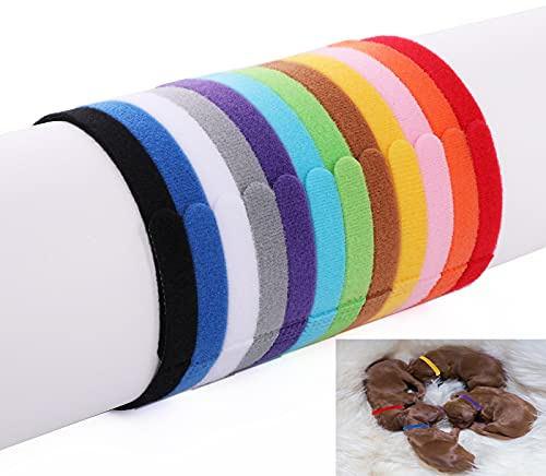 Molain Lot de 12 Colliers de Mise Bas pour Chiot, Collier Chaton Couleurs Assorties pour Petits Chiots Colliers d'identification réglables pour Petits Chats Chiots(30 cm)