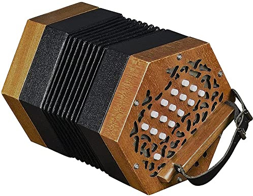 Professional 30 Buttons Accordion Concertina With Carry Bag, Entry Level Keyboard Instrument, Fascinating & Softer Sound, Excellent Gift For Children And Friends