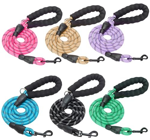 BEAUTYZOO Heavy Duty Rope Dog Leash 6 Pack, 6FT Nylon Pet Leash with Reflective Thread, Soft Padded Handle Thick Lead Leash for Large Medium Dogs Small Puppy,3/8inch X 5 FT (18~120 lbs)