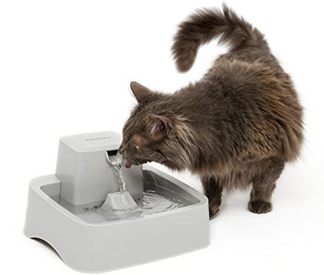 PetSafe Oasys 1/2 Gallon Pet Fountain - Cat & Dog Hydration Station with Free-Falling Water Stream & Customizable Flow - Encourages Hydration & Protects Sensitive Whiskers - 1/2 Gallon