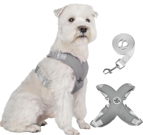 FEimaX Pettorina per Cani di Piccola e Media Taglia con Guinzaglio, Imbracatura Cane Riflettente Regolabile con Morbida Imbottito Imbracature Cuccioli Antifuga per Passeggiate Corsa