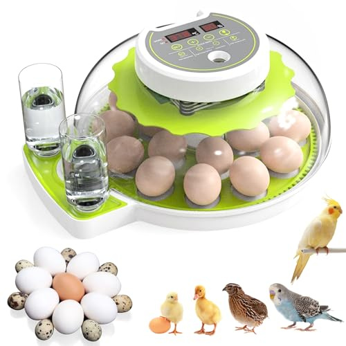 CISSIYOG Incubadora totalmente automática con huevos, control de temperatura y suministro de agua, tapa de 360°, incubadora de 18 – 36 huevos, gallinas para gallinas, gansos, patos y huevos de
