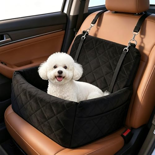 CAIEJSAEN Siège auto pour petits chiens en mousse à mémoire de forme, amovible et lavable, 40 x 40 x 35 cm