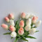 HEPENG EasyLife 32 cm, 20 Pieces and 2 Colours per Set, White and Champagne, Artificial Flowers Tulip, Decoration for Wedding Decoration Indoor and Outdoor Use, Kitchen, Office, Cafe, Home Decor