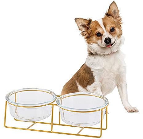 Erhöhte Hundenäpfe für kleine Hunde - 2 Glasschalen mit goldenem Eisenständer - Erhöhtes Futternapf Set für Futter und Wasser - Bequemes Füttern