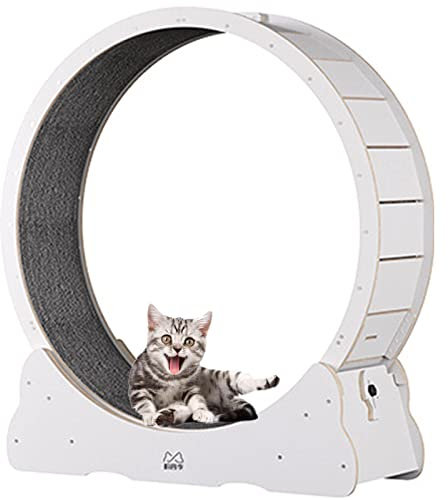 BLANKX Katzenlaufrad für Wohnungskatzen, Leises Kleines Mittelgroßes Laufrad für Katzen, Kleine Lücke Haustier Katze Laufrad Spielzeug mit Bremse,S-White