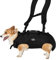 WakytuHundehebegeschirr für Kleine Hunde Notfallrucksack, Hundetragetasche für Behindert, Gelenkverletzungen, Ältere Hunde Treppen rauf und runter, Autos Hundetragetuch (16.5-33LBS)