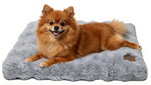 BingoPaw Panier pour Chien Moyen Taille: 76x51x10cm Coussin Chien Déhoussable et Lavable en Machine, Tapis Matelas Lit Anti-Stress, Tissu Peluche Doux, Gris