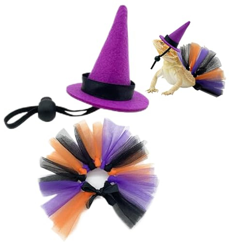 Maodom Costume de dragon barbu | Chapeaux de sorcière de dragon barbu | Fournitures pour reptiles pour amphibien, oiseau, serpent, hamster, tortue, perroquet, hérisson, poussin, Halloween