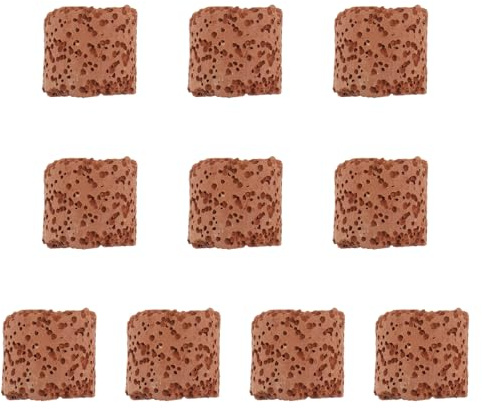 ROMISBABA 10 Piezas Anillos Fijos para Plantas Acuáticas Soporte Duradero para Plantas y Peceras Accesorios para Decoración de de Agua