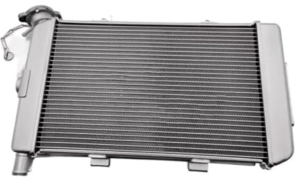 motocicleta radiador Para C&FMOTO Para 650GT 400GT Tanque De Agua Conjunto Radiador Anticongelante Refrigerante Refrigeración STRIVING BIRD(650gt)