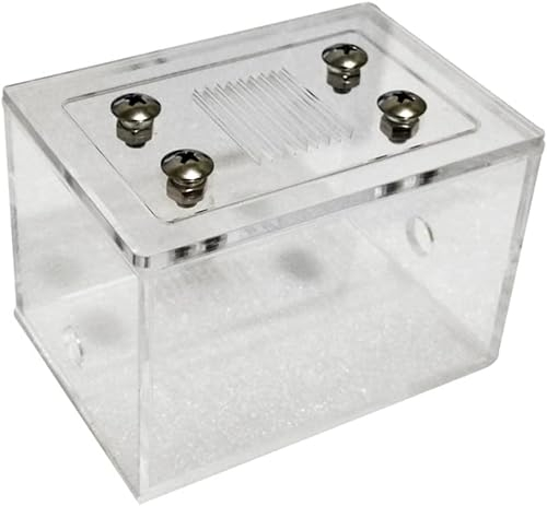 Ameisenfarm Ant Castle Transparente Ameisen-Futterbox mit atmungsaktivem Mesh Ameisenfarm zum Studium des Ameisen-Ökosystems Lernspielzeug beobachten