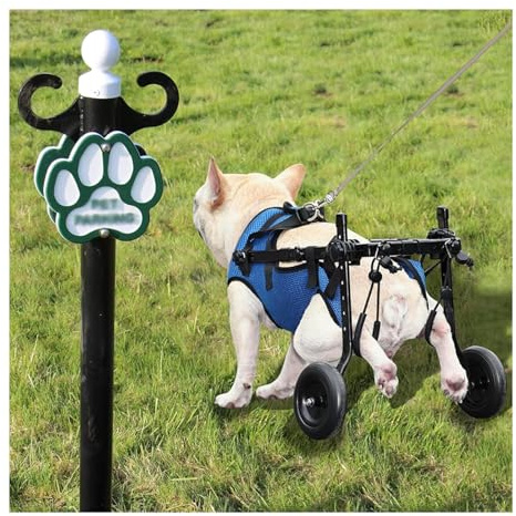 NBHDWF Sillas De Ruedas para Perros Andador De Silla De Ruedas Ajustable para Mascotas, Silla Ruedas Perro Soporte De Cadera para Mascotas, Silla Ruedas Perro Adecuado para Patas Traseras