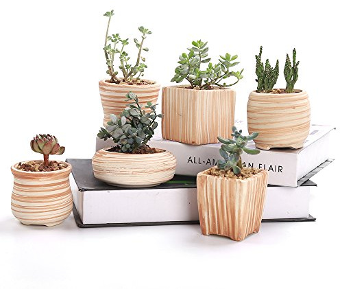 SUN-E Set de 6 Macetas de Cerámica de 7.6 cm Con Patrón de Madera para Plantas Suculentas y Cactus - Recipiente Contenedor - Ideas para Regalos