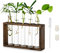 Modern Blumenvase Kleine Vasen Deko Set Vintage Glas Reagenzgläser Für Blumen Mit Ständer Holz Propagation Station Für Tischdeko Wohnzimmer Outdoor Taufe Geburtstag Hydroponik