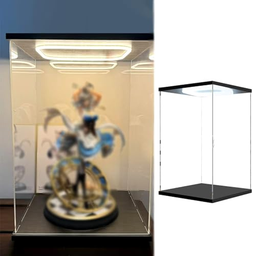 Boite Acrylique Vitrine Cubique en Acrylique Transparent avec Éclairage LED, Bacs de Rangement de 10, 15, 25, 30, 35, 45, 50 et 60cm de Hauteur, Vitrine Empilable avec Porte(L25xW25xH60cm/10x10x24)
