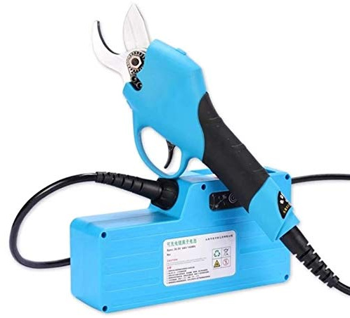 Ryanong Forbici da potatura elettriche professionali Forbici da potatura elettriche Fr It Forbici per rami di albero, Macchina da taglio da giardino ricaricabile Strumento di giardinaggio Diametro di