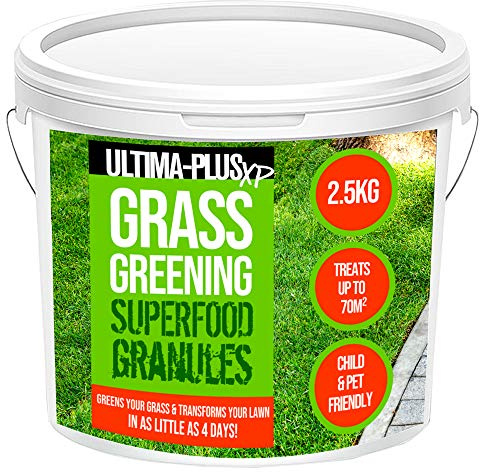 Ultima-Plus XP Grass Greening Superfood Granules - Lawn Fertiliser to Green and Strengthen Grass in Just 4 Days - Child and Pet-Friendly (2.5 kg)