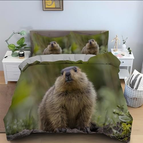 Tizhweqo Beaver Duvet Cover Double Animal Bedding Double Bed Set Soft Microfibre 3D Printed Beaver Quilt Cover with 2 Pillowcases with Zipped Closure C3987