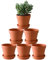 Yishang Lot de 6 Grands Pots en Terre Cuite avec Soucoupe en Terre Cuite de 14 cm avec Trou de Drainage - Idéal pour Les Plantes, Les travaux manuels